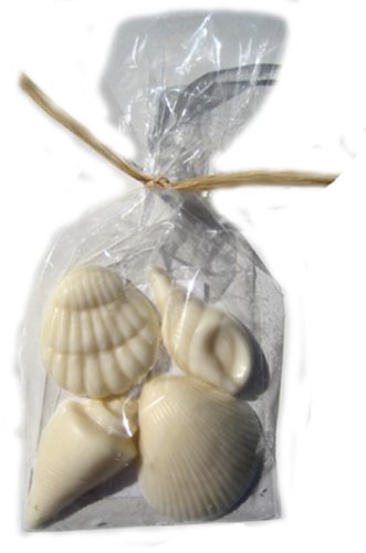 Chocolate Seashell Gift Bag Favor, White Chocolate
