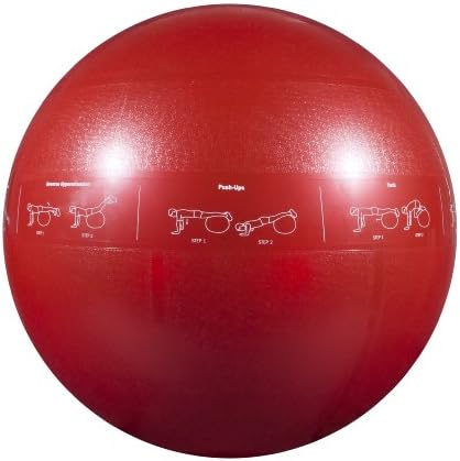 GoFit Professional Stability Ball