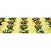 JTT Scenery Detachable Flower Bushes .375