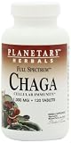 UPC 021078106678 product image for PLANETARY HERBALS Chaga Full Spectrum Nutritional Supplement, 1000 Mg, 120 Count | upcitemdb.com