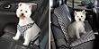 SML / MEDIUM - BLACK - Houndstooth Car Harness WITH MATCHING CAR SEAT COVER