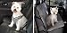LARGE - BLACK - Houndstooth Car Harness WITH MATCHING CAR SEAT COVER