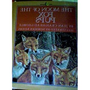 norman adams butterflies