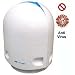 Kitchen & Housewares : Airfree P60 Air Sterilizer