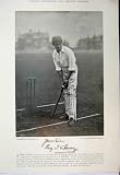 1895 Cricket Players Photograph Henery Hill Batsman