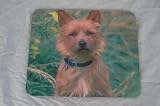 Review The Moneyman  / Cairn Terrier DOG Mouse Mat Pad New K9 Unique GIFT