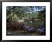 Airlie Gardens Wilmington North Carolina, USA Framed Art Poster Print, 31x25