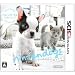 「nintendogs フレンチ・ブル」の画像