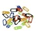 Sealey SKTAG25 Key Tag Assortment 25pc