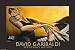 Afternoon Sounds Finest LAMINATED Print David Garibaldi 36x24