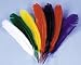 Costumes For All Occasions BB07BU Indian Feathers Blue