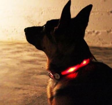 Lighted Dog Collar- Xlarge (Green)
