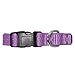Pawtitas Reflective Dog Collar Adjustable Dog Collars for Small Dogs Puppy Collar Small Dog Collar Orchid Purple Dog Collar