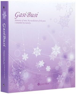 Photo Albums Storage Pocket Type 4x6 50 Page Holds 500 Natural Violet