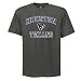Search : Houston Texans Heart and Soul II Tee