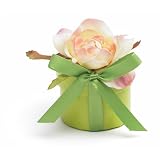 Bloembox Minis: Standard Miniature Rose in Gift Box