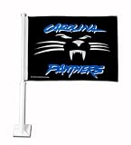 Panthers Whisker/Word Black Car Flag