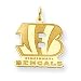 14K Cincinnati Bengals Medium Initial w/Name Charm