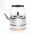 BonJour 2-Quart Stainless Steel Teakettle with Copper Bottom