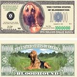Set of 5 Bills-Bloodhound Dog Bill