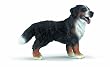 Schleich 16339  - Bauernhof, Berner Sennenhund, stehend