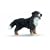 Schleich 16339  - Bauernhof, Berner Sennenhund, stehend