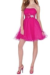 Tulle  Short  Ball Gown Quinceanera Dress 