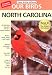 Birds of North Carolina v3.9