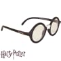 Harry's Glasses