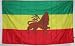 LION OF JUDAH FLAG - - - - 3 x 5 ft - - - Juddah Rasta Colors poster