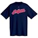 Cleveland Indians Official Wordmark Short Sleeve T-Shirt (Small)
