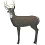 Delta Maxim Whitetail Buck 3D Target
