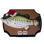 Big Mouth Billy Bass Sings for the Holidays! Motion Sensor Animated Christmas 2000