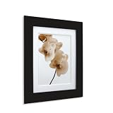 Review Umbra 316128-040 / Umbra 8x10-Inch Pictura Frame with Bevel Matte, Black and White