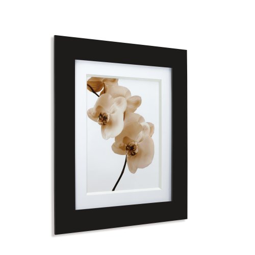 Umbra Pictura 8 X 10-Inch Frame with Bevel Matte, Black & White