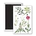 Opium Poppy and other plants (w/c) by.. - 3x2 inch Fridge Magnet - large magnetic button - Magnet