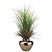 27" Grass and Yucca Fern Plant Arrangement with Ceramic Pot