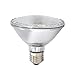 120V PAR30 Halogen Bulb