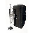 Barcelona B-Flat Trumpet with Case, Polishing Cloth, Gloves, and Valve Oil - Laquer