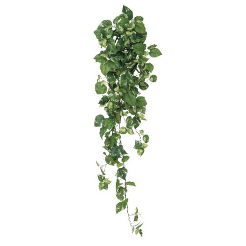 【人工植物】ポトスハンキング