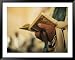 Man Holding a Prayer Book and Tefillin During a Synagogue Service, Israel Collections...