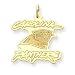 14K Carolina Panthers Large Logo Charm