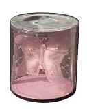 BOTANIQUE Pink Passion Sachetの画像