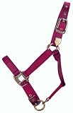 Hamilton 1-Inch Nylon Adjustable Quality Horse Halter with Adjustable Chin, Average Size (800 - 1100 Pounds.), Wine