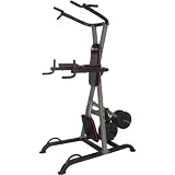 Elite Fitness Deluxe Counter Balanced Power Tower