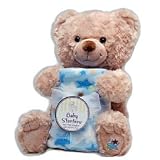 Baby Starters 2 Piece Blanket and Plush Bear Gift Set- Blue by Baby Starters