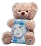 Baby Starters 2 Piece Blanket and Plush Bear Gift Set- Blue