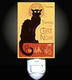 Review Decoration Sensation  / Black Cat Chat Noir Decorative Night Light