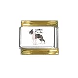 Boston Terrier Gold Trim Italian Charm (9mm)