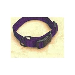 Hamilton "Fits All" 5/8" Adjustable Nylon Dog Collar, Purple, Small (12-18 in)